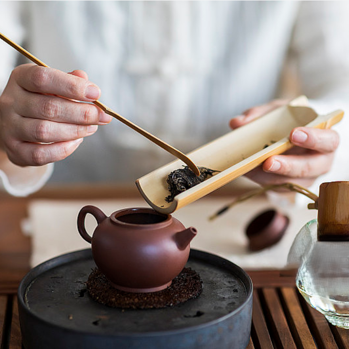 观察杜仲干茶