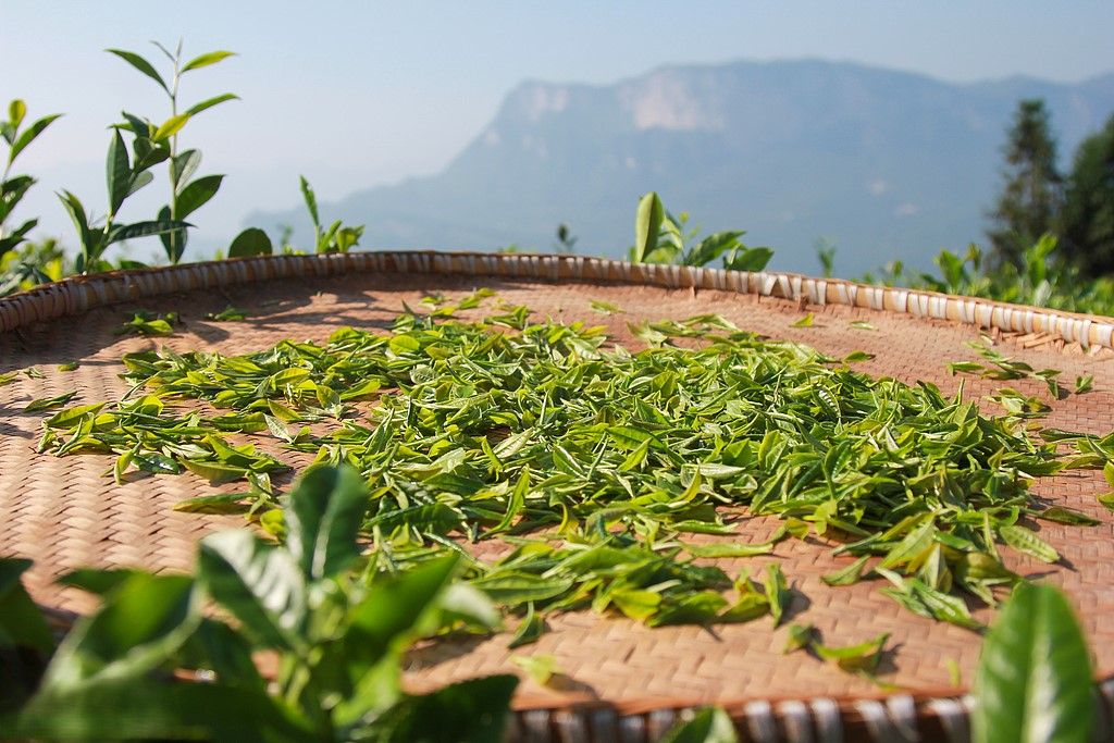 生态种植环境